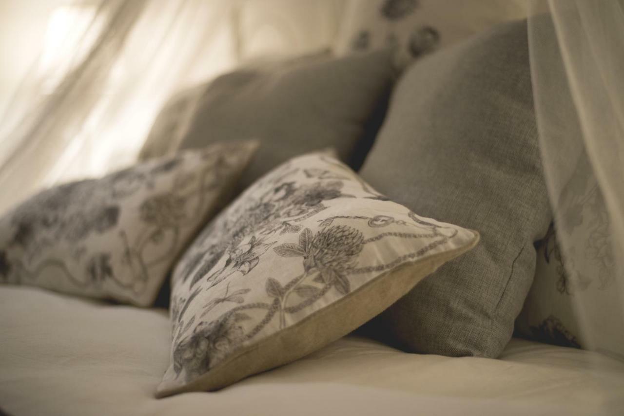 เอเลแกนต์ บีแอนด์บี อิล วิโกโล สโตริโก ซาแลร์โน Bed & Breakfast ภายนอก รูปภาพ